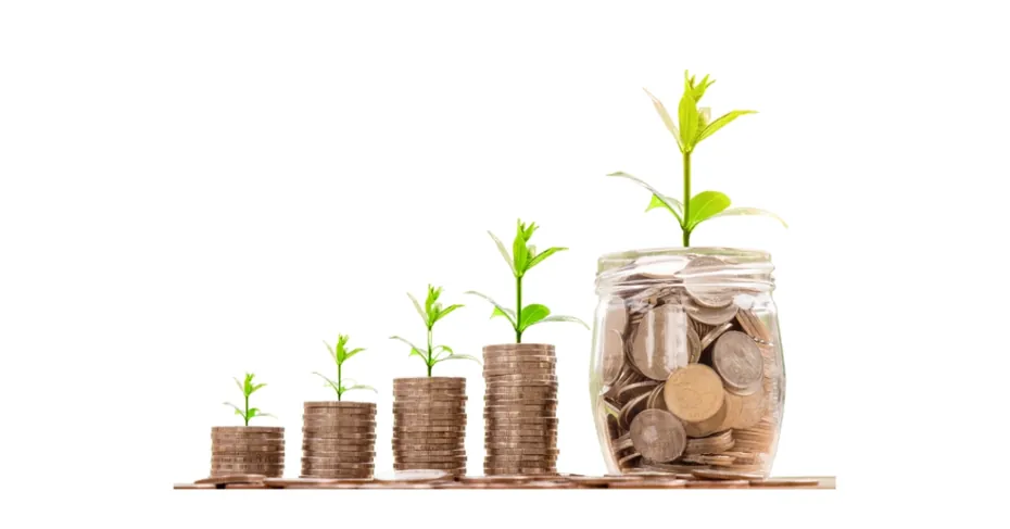 Plants growing from coins